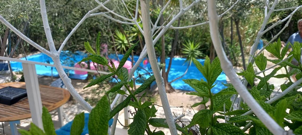 Luxury Loving Home Τολό Εξωτερικό φωτογραφία